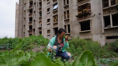 股市配资|贵州茅台三季度业绩预热营利双增却遭股价下挫机构怎么看？