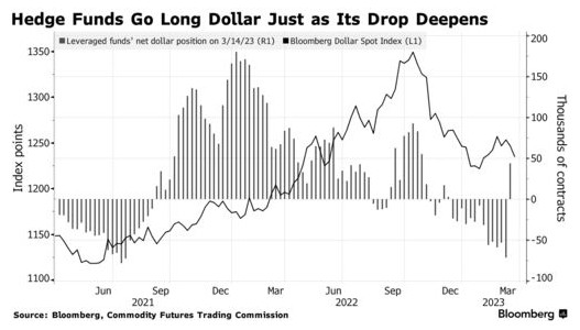 对冲基金错误看多遭损失美元大势已去？