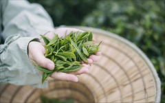 配资炒股技巧|私募基金仓位已低于去年末水平