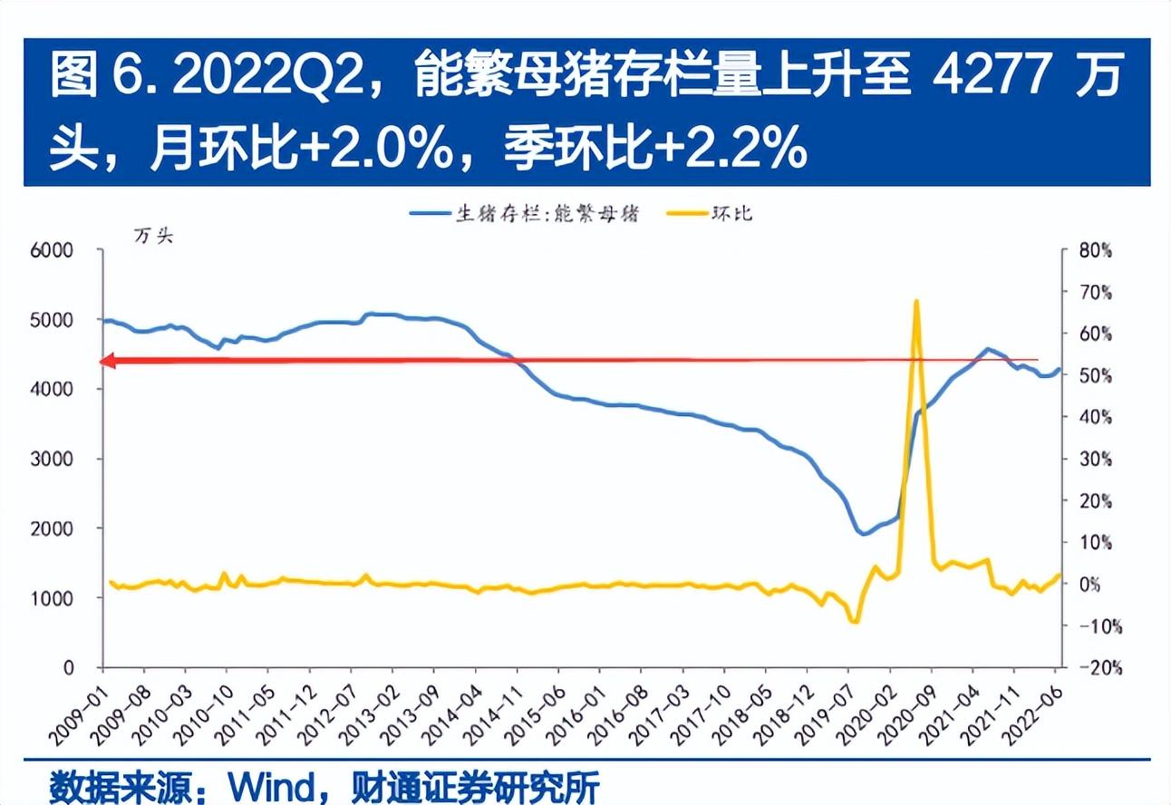 配资保证金