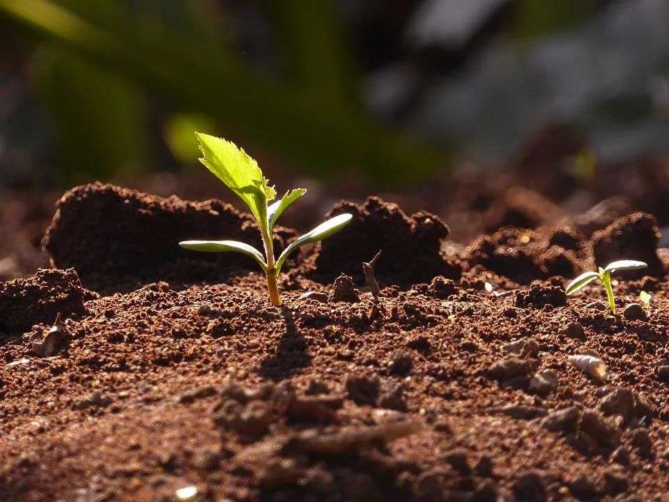 从萌芽到破土 全国各地医药行业长势如何