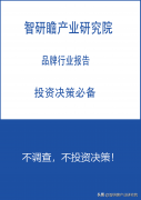 配资门户-旅游户外用品户外用品行业市场全景调研及投资价值评估研究报告